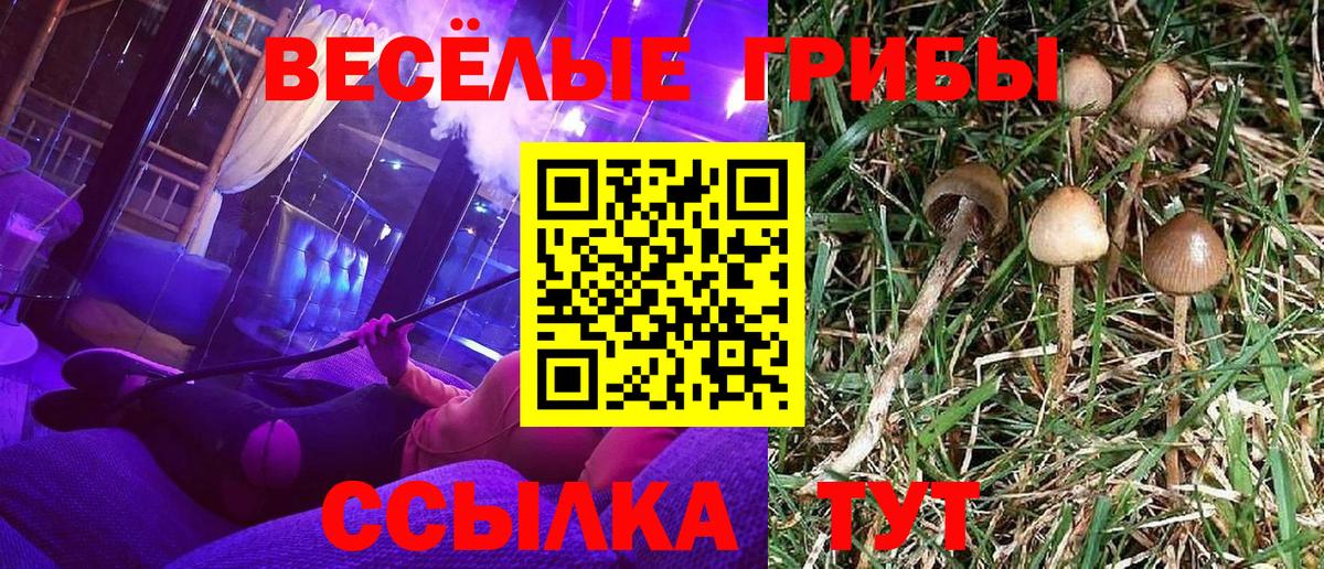Псилоцибиновые грибы прущие грибы Назрань